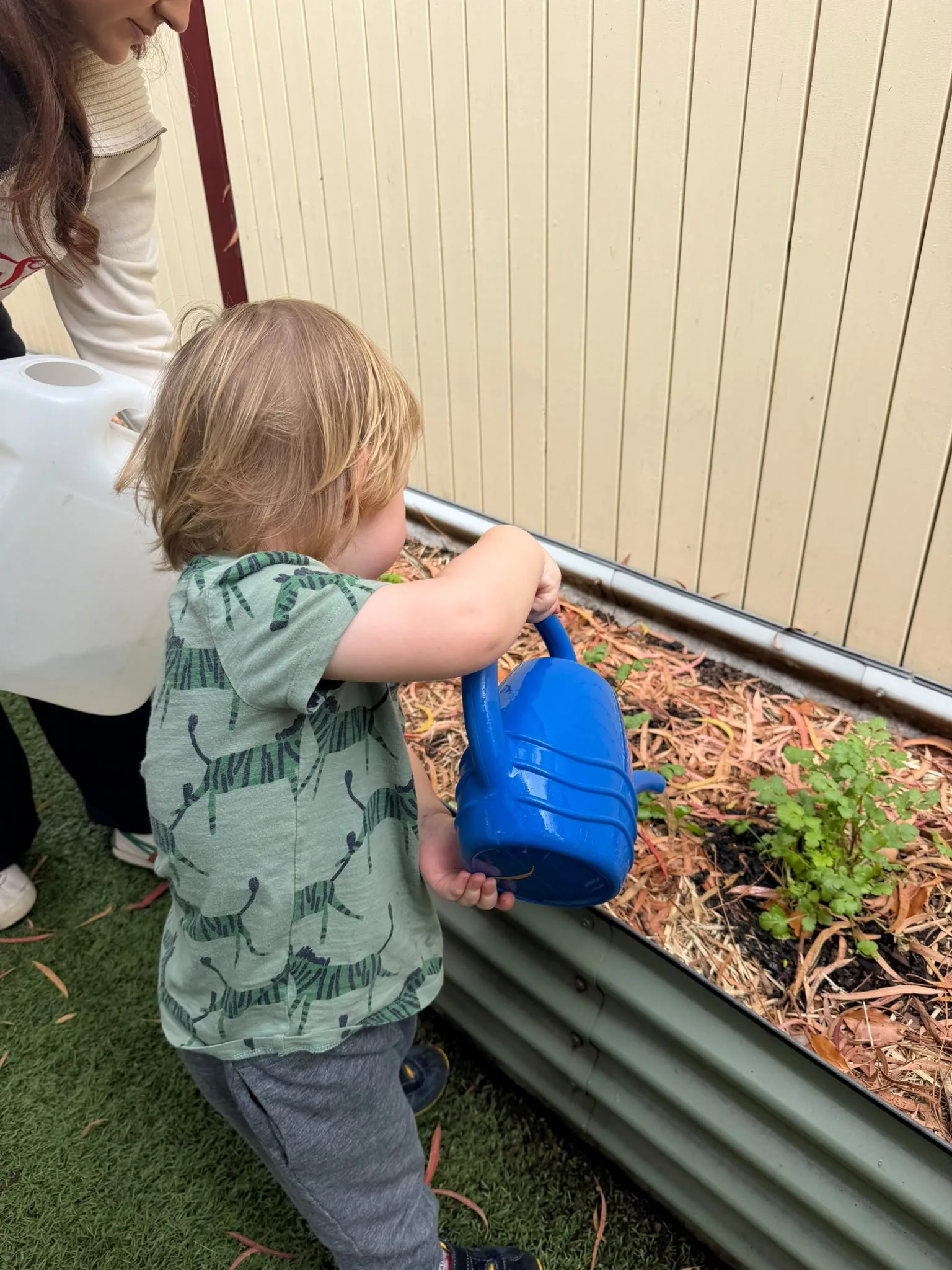 From Our Garden: Little Explorers Plant Herbs